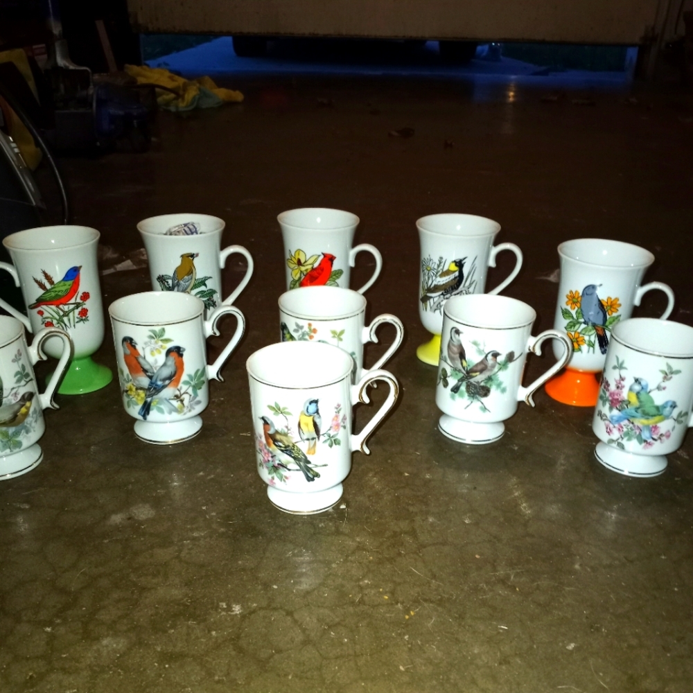 Hand painted set of 12 cups variety of birds